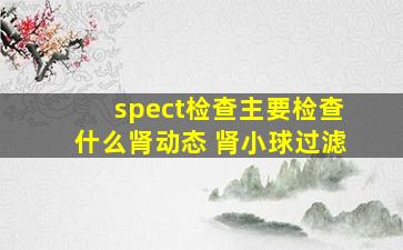 spect检查主要检查什么肾动态+肾小球过滤