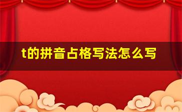 t的拼音占格写法怎么写