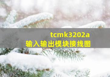 tcmk3202a输入输出模块接线图