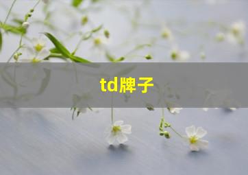 td牌子