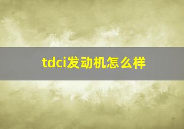 tdci发动机怎么样