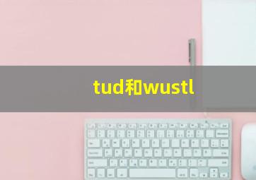 tud和wustl