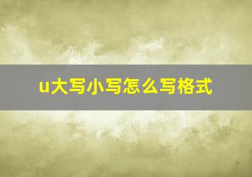 u大写小写怎么写格式