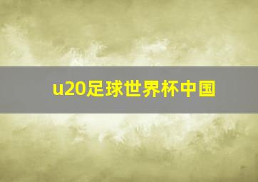 u20足球世界杯中国