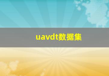 uavdt数据集