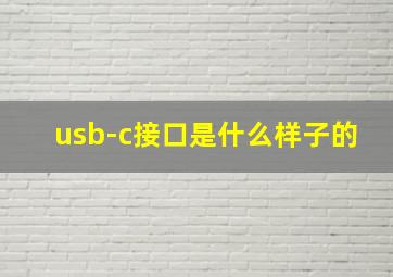 usb-c接口是什么样子的