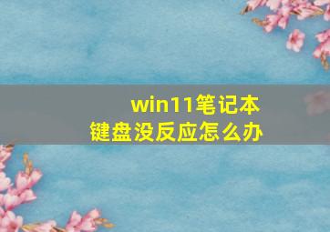 win11笔记本键盘没反应怎么办