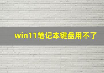 win11笔记本键盘用不了