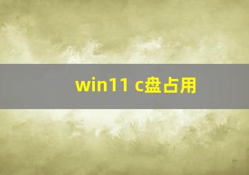 win11 c盘占用