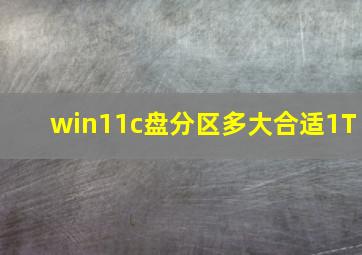 win11c盘分区多大合适1T