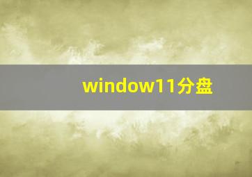 window11分盘