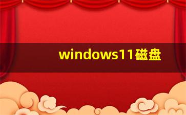 windows11磁盘