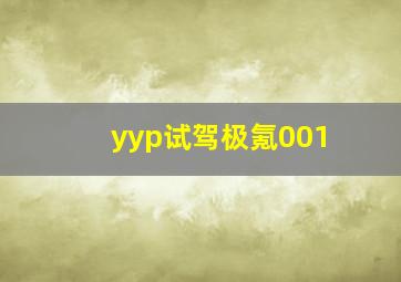 yyp试驾极氪001